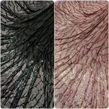 58” nett Lycra embroideries