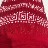 Pure Maslin Cotton Silk hand Print + Embroideries