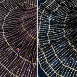 Micro Velvet, Width:54”