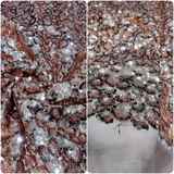 Net Embroideries , Width: 44”