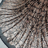Soft Nett , Width : 60"