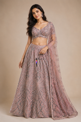 Imported Nett fabric
