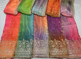 4d ombre lehnga with real mirror coading boundary embroidery