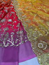 Georgette & Organza Embroidery Combinations
