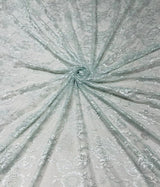 Shiendlier lace Korean