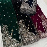 velvet embroidery