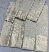 Pure handloom banarsi chanderi
