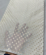 Pure viscose handloom chanderi