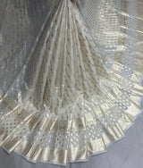 Pure handloom banarsi chanderi