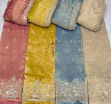 Salsa crush handwork embroidery