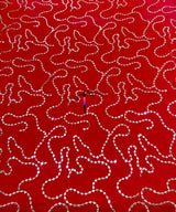 Mirror jaal embroidery