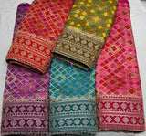 Heavy Cutdana Border Embroidery