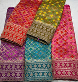 Heavy Cutdana Border Embroidery