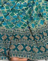 Heavy Cutdana Border Embroidery