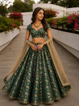 Ikkat brocade