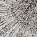 Nett Embroideries 54"