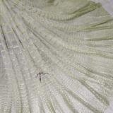 Nett Embroidery, Width : 56"